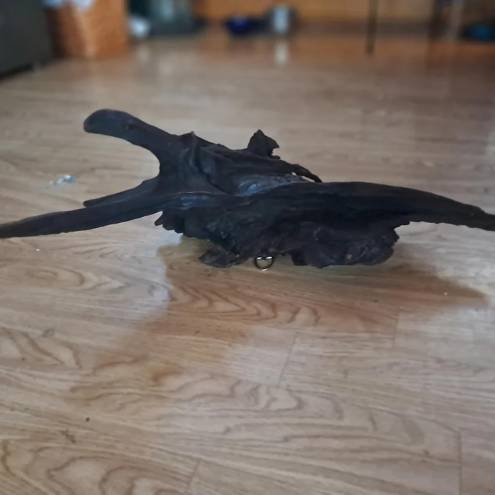 Bogwood from S. Louisiana 